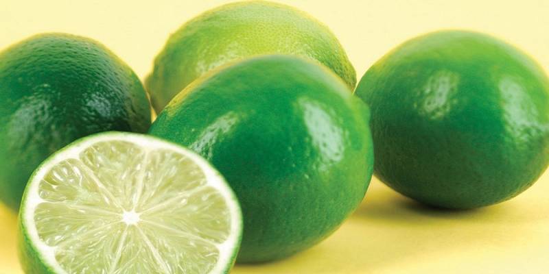 برداشت ۵۴ هزار تن لیموترش در جنوب کرمان آغاز شد